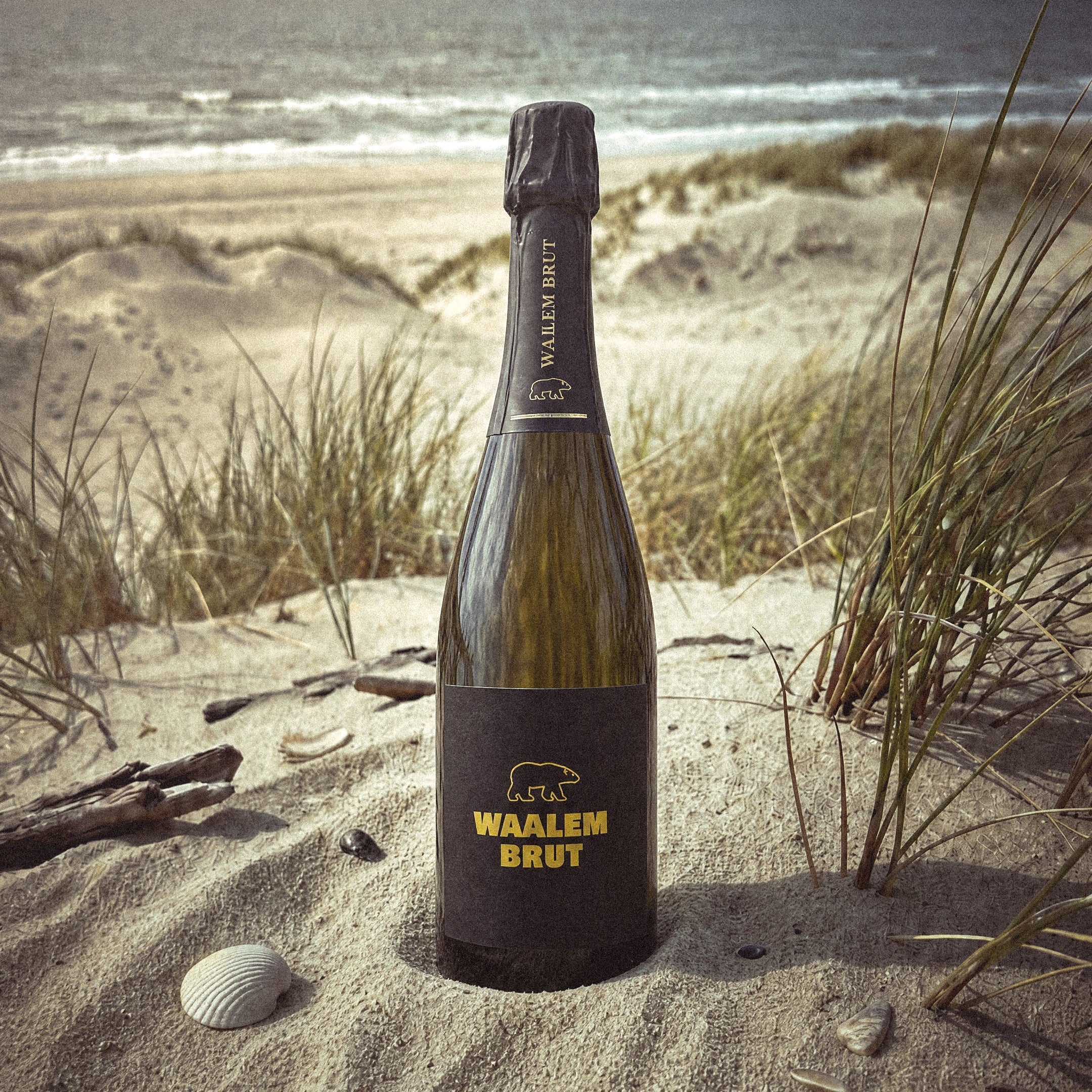 WAALEM BRUT